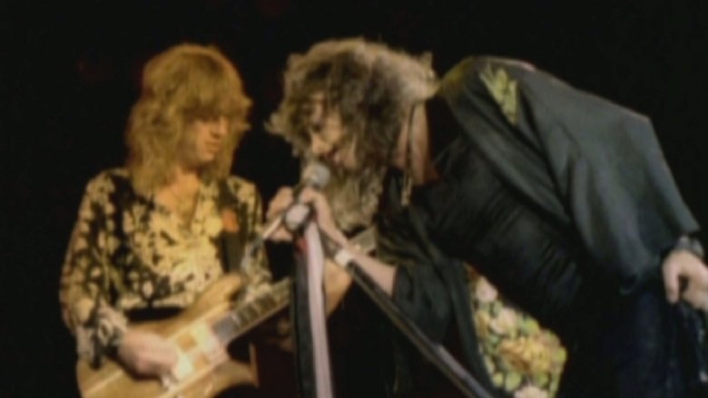 Aerosmith - Live Texxas Jam'78