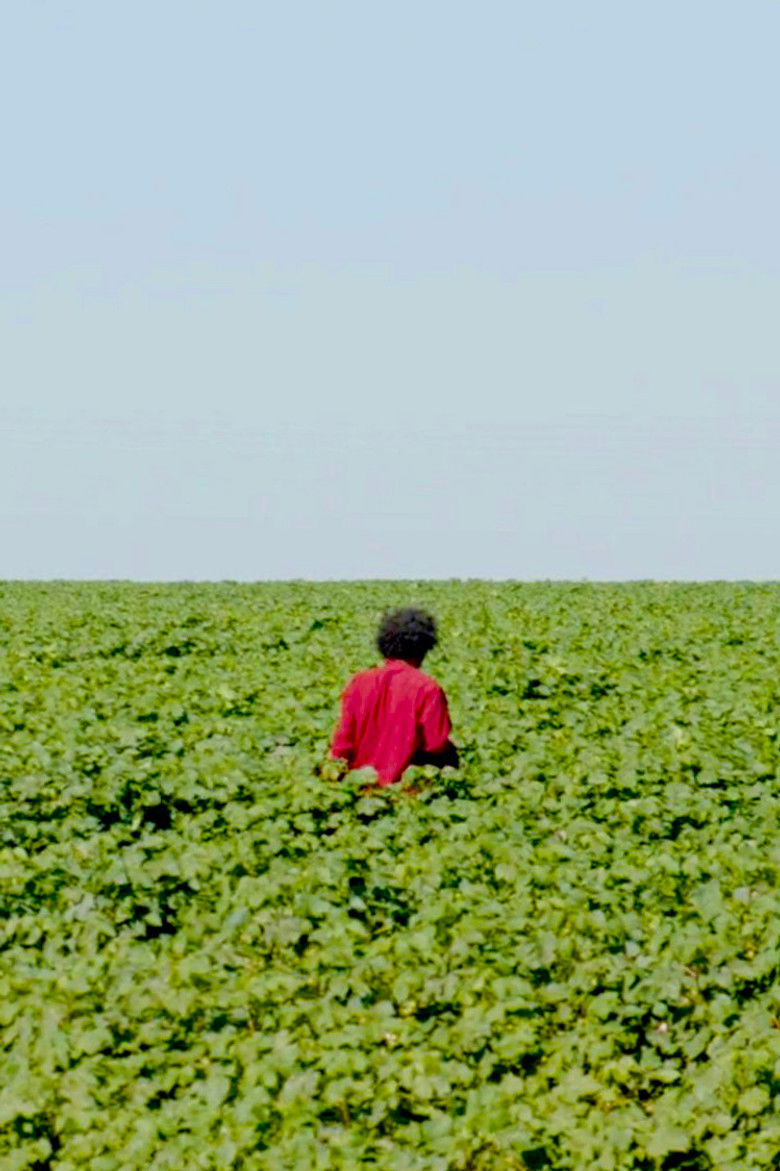 Imatge de Se hace camino al andar