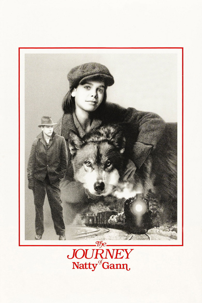 Póster la Película