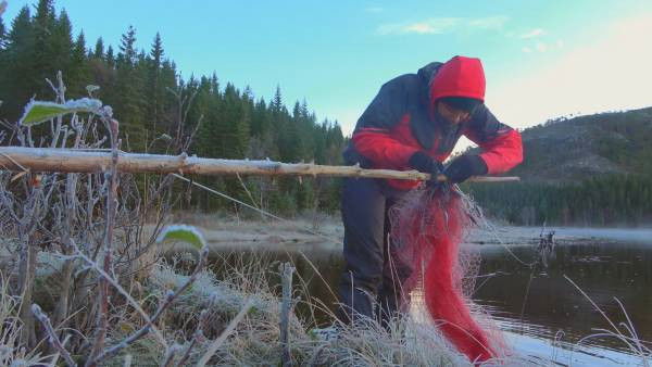 Still image for Alone Sweden season 1 episode 5: Here comes the cold Still image for Alone Sweden season 1 episode 5: Here comes the cold