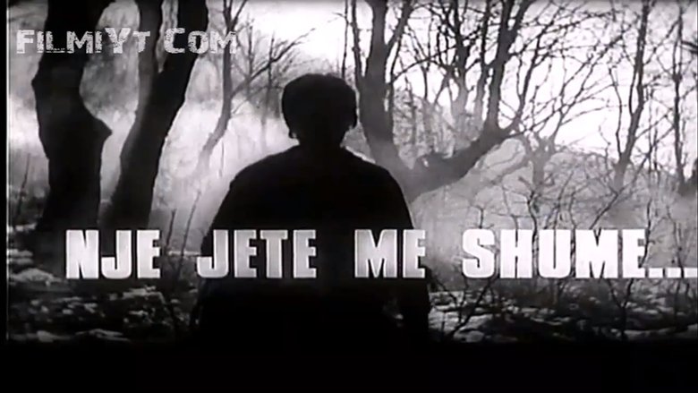 Një jetë më shumë movie poster