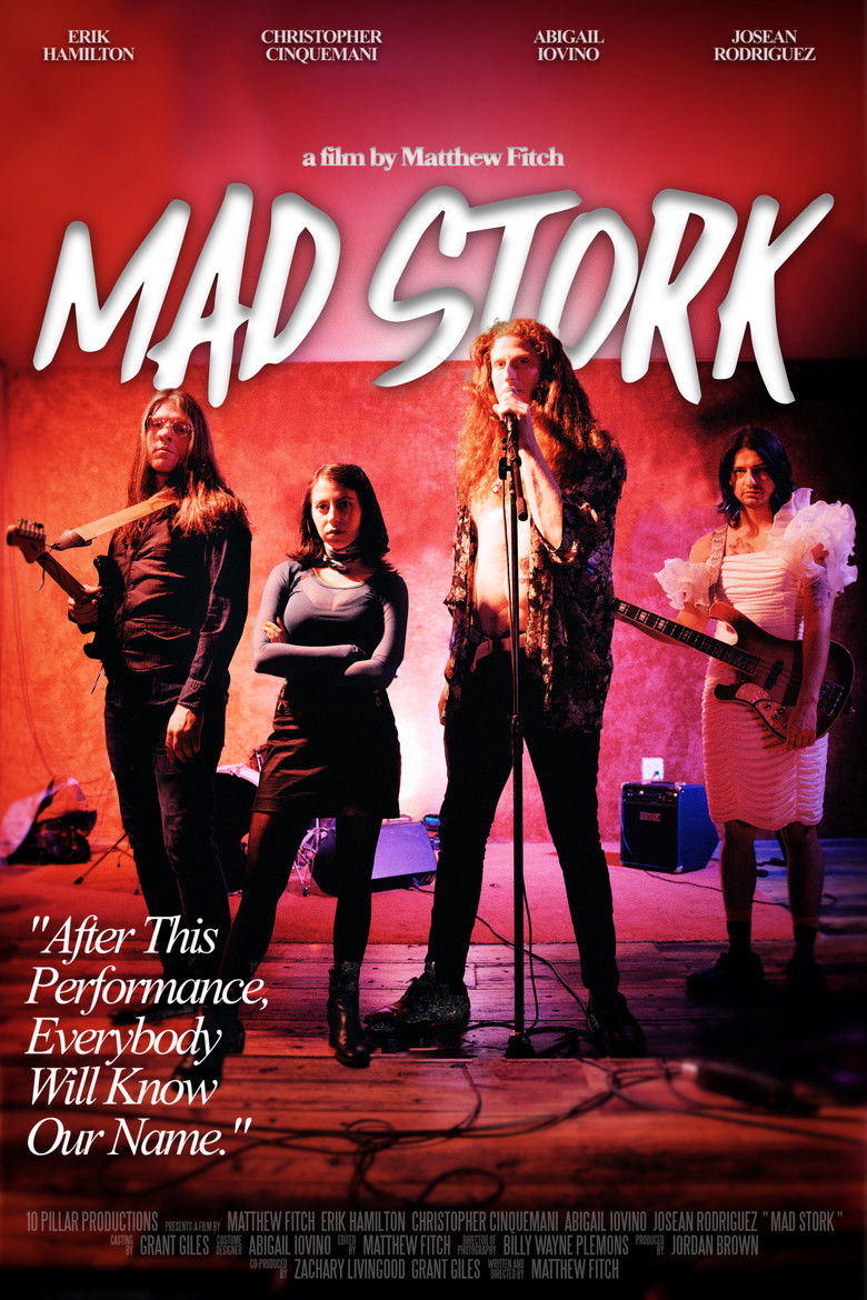 Imatge de Mad Stork