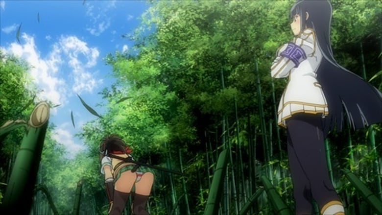 Watch Senran Kagura Ninja Flash: Season 1 Episode 3 free (Dub) in HD on Ani...