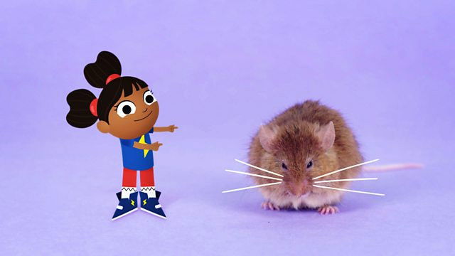 Still image for Yakka Dee! season 1 episode 17: Mouse Still image for Yakka Dee! season 1 episode 17: Mouse