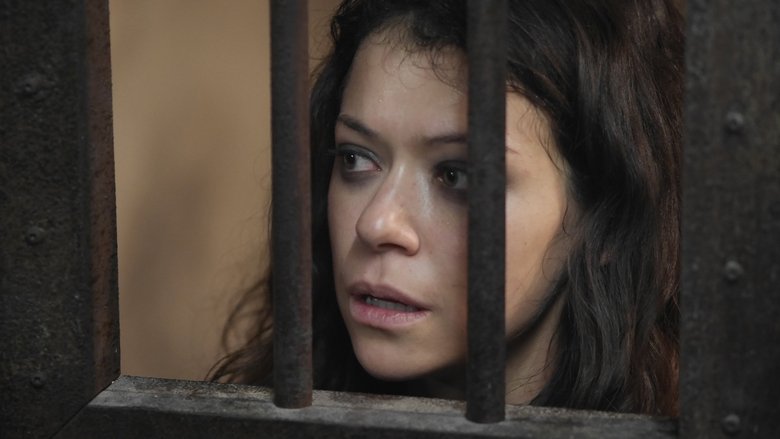 orphan black s03 online subtitrat orphan black s03 online subtitrat