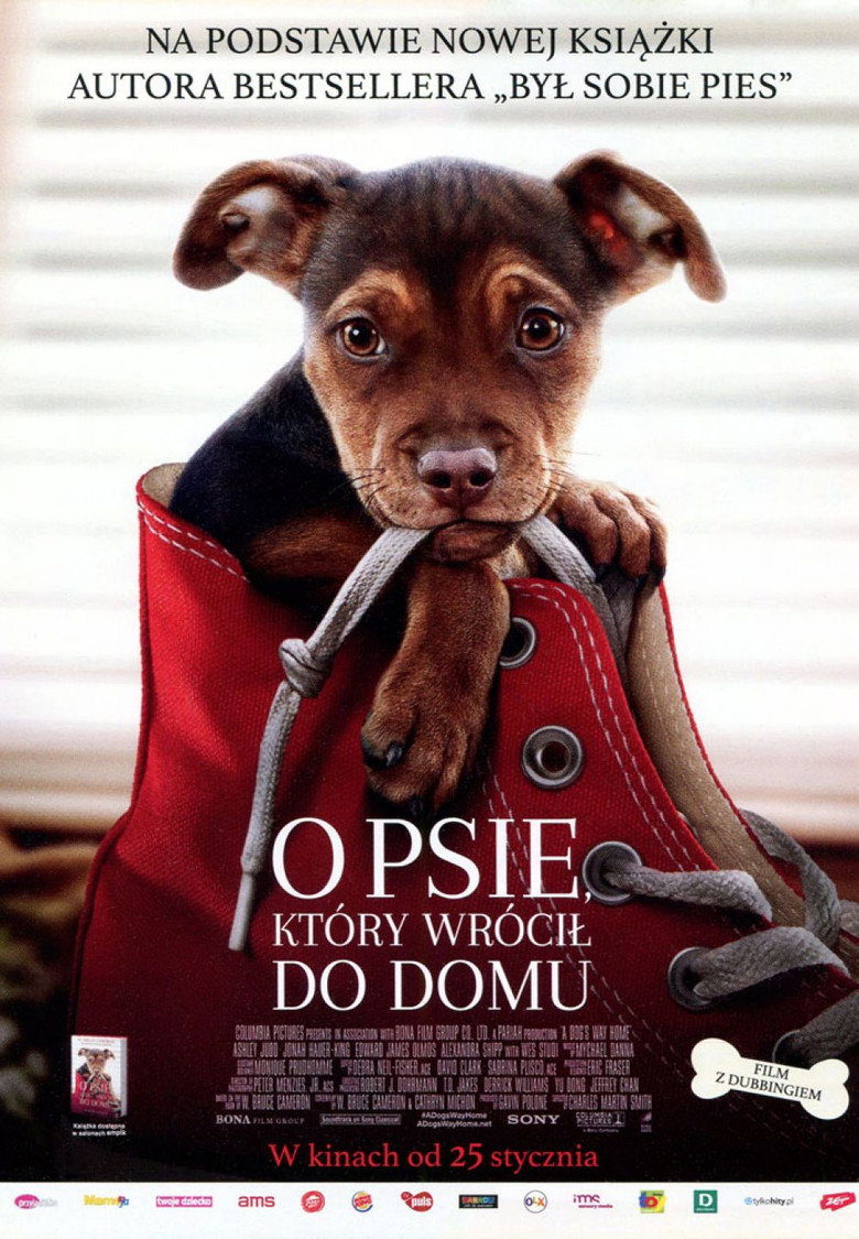 Plakat filmu O psie, który wrócił do domu