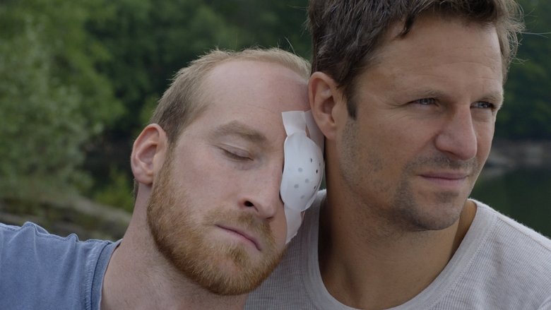 Tomcat (2016)