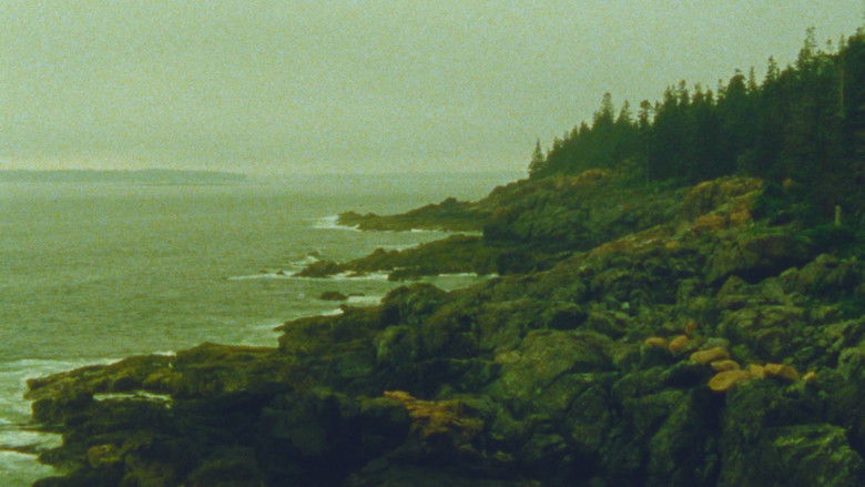 Imatge de The Night Country