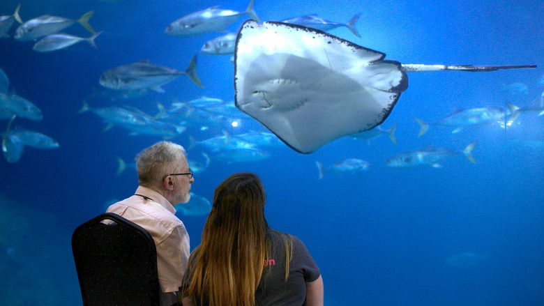 Still image for Secrets of the Aquarium season 1 episode 2: It’s Amazing He Didn’t Drop that Ray Still image for Secrets of the Aquarium season 1 episode 2: It’s Amazing He Didn’t Drop that Ray