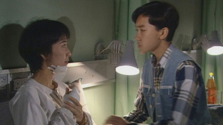 真情 Temporada 1 Episodio 265 Cuevana 3