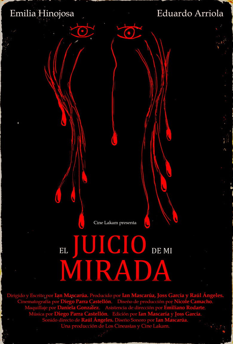 Imatge de El juicio de mi mirada.