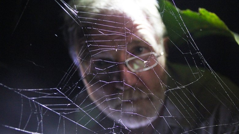 Still image for The Dark: Nature's Nighttime World season 1 episode 1: Central American Jungle Still image for The Dark: Nature's Nighttime World season 1 episode 1: Central American Jungle