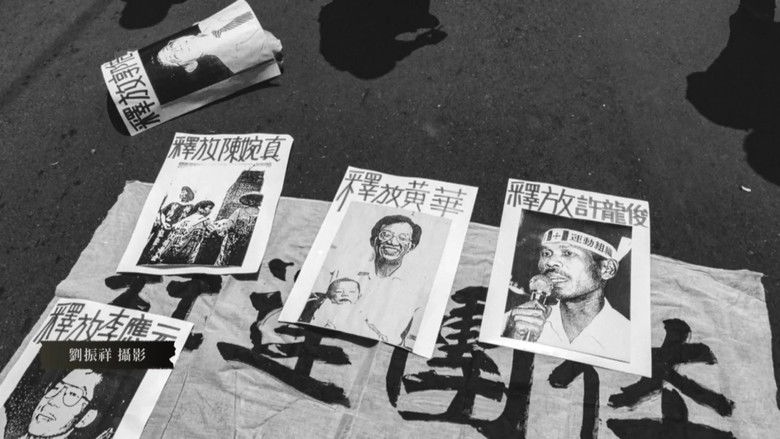 Eyes on Democracy: Break the Cocoon