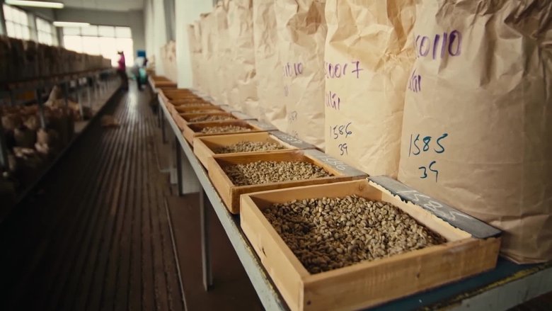 Still image for A History of the World in Six Glasses season 1 episode 6: Coffee: The World Wakes Up