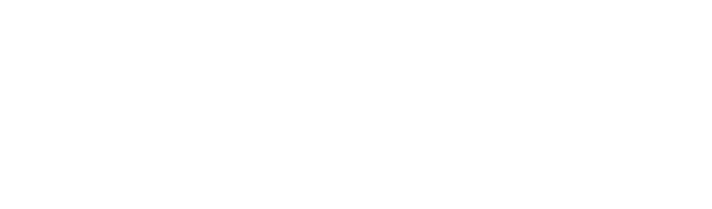 Revenger