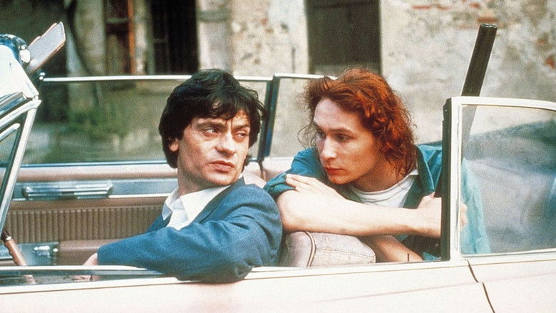 Gallery image from 378LGG4zjiyNm4vKYs7IRVrNOPP.jpg