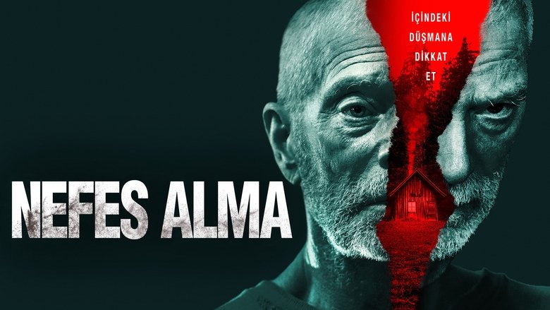 Gallery image from 37gg8yX5vJY9yVcM0SC0LsuUPx0.jpg