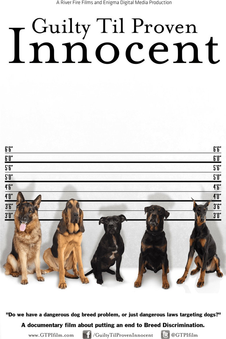 Guilty Til Proven Innocent background