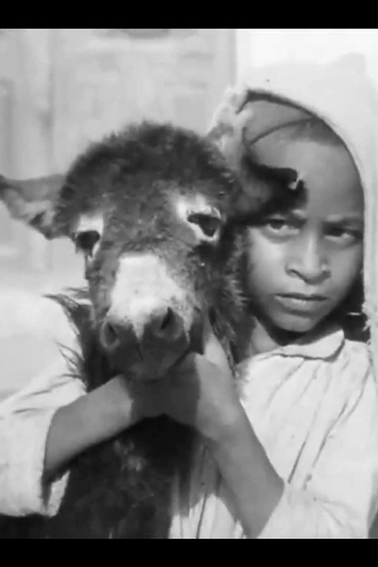 Imatge de Sem Título # 11: Um Analecto à Mula