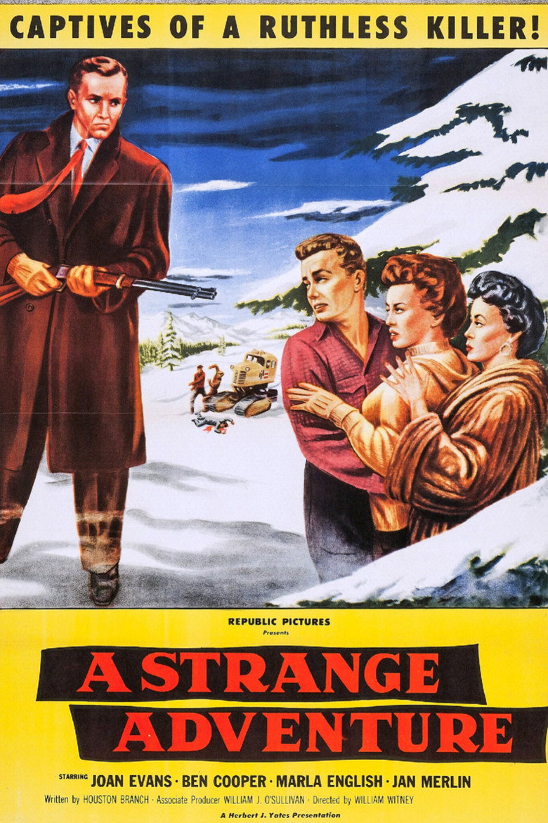 Affiche de A STRANGE ADVENTURE