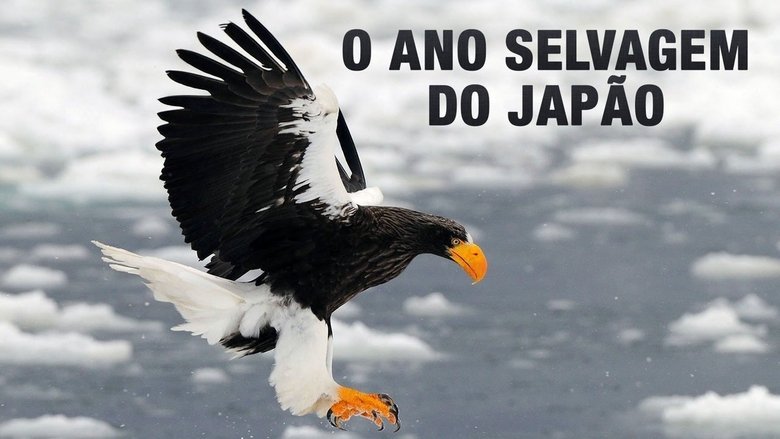 Gallery image from 39EeOtCH3XmOA4ETx2Nw1zTpWyw.jpg