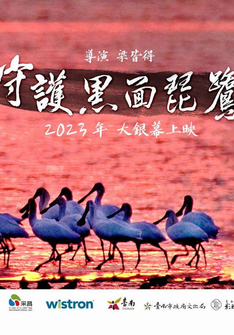 Imatge de 守護黑面琵鷺