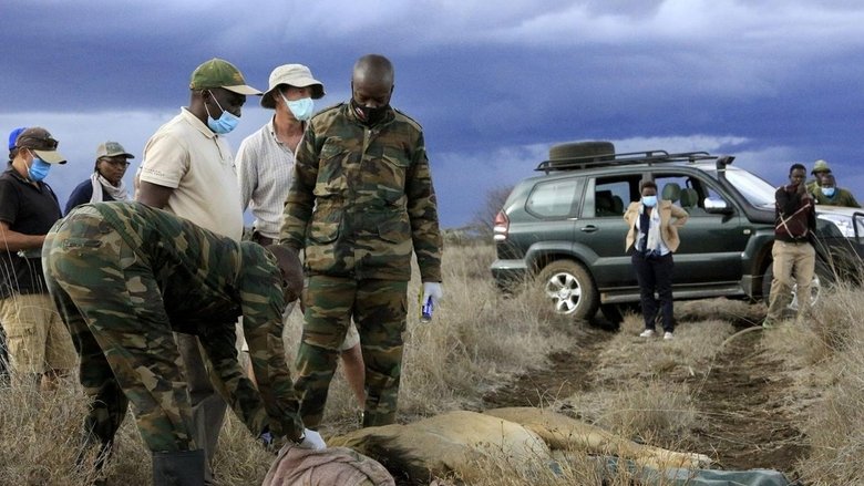 Still image for Chasing the Rains season 1 episode 4: The Inside Story Still image for Chasing the Rains season 1 episode 4: The Inside Story