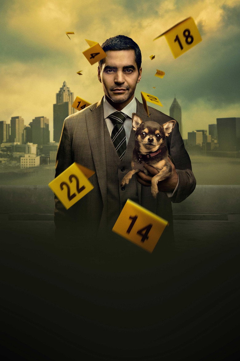Póster la Serie