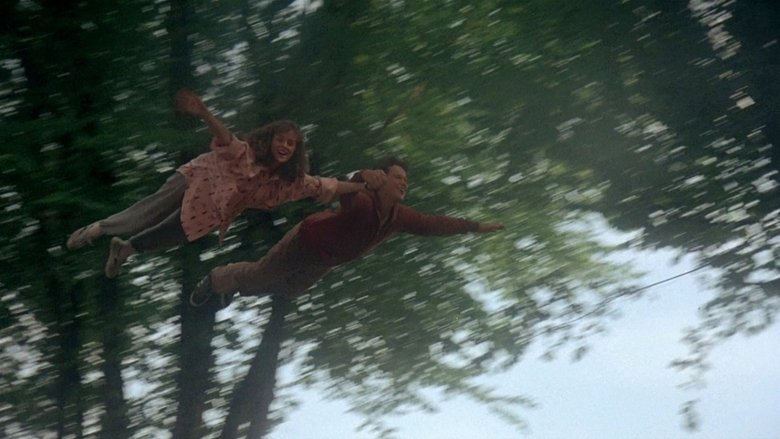 Descargar The Boy Who Could Fly (1986)