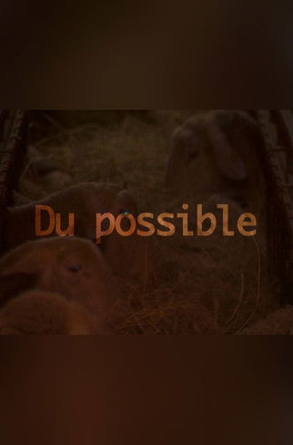 Du possible (2006)