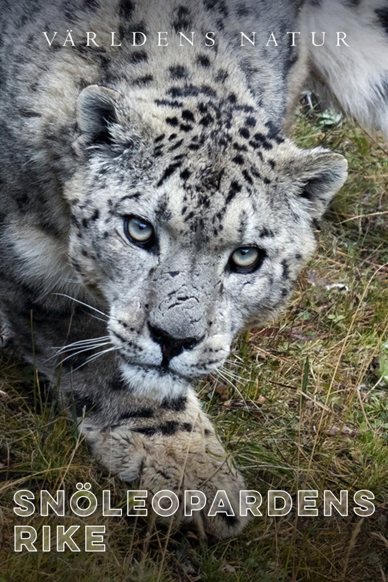 Sn&ouml;leopardens rike (2020)