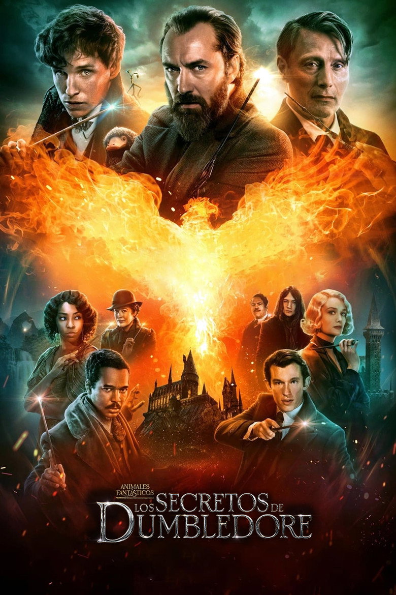 Póster la Película