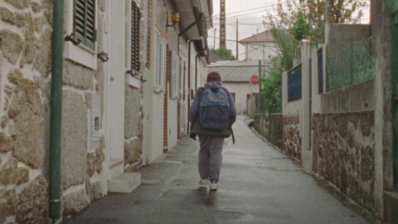 Gallery image from 3CaOnrB09e9zsr50XZs3S8ztnhs.jpg