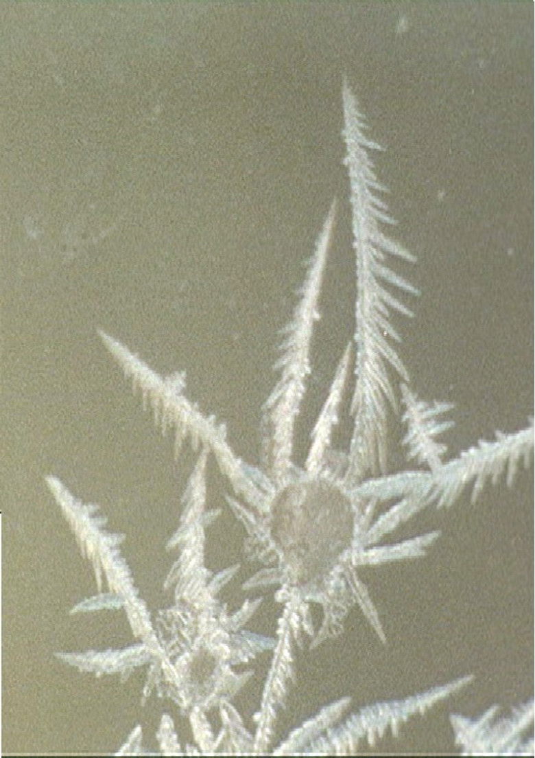 Imatge de New Year Sun