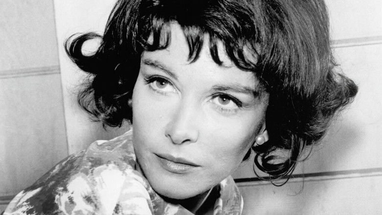 Gallery image from 3D57sGKRBGFX8NAH5v9giaLkLa8.jpg