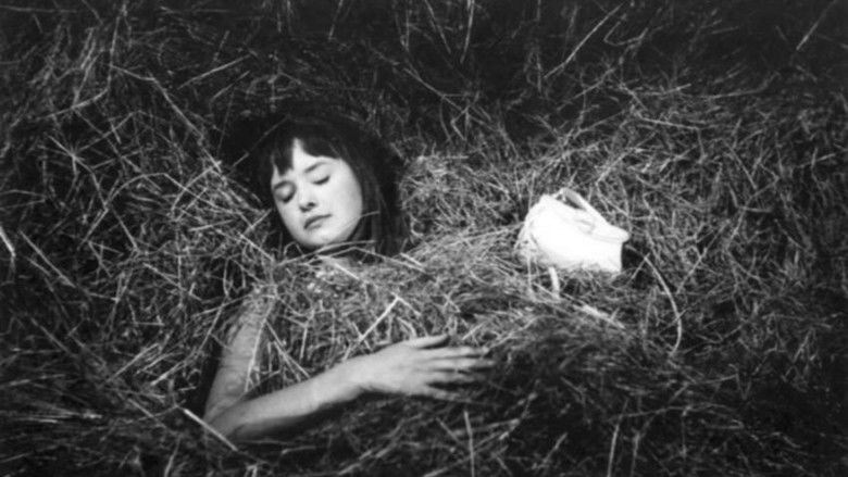 Imatge de Panenství a kriminál