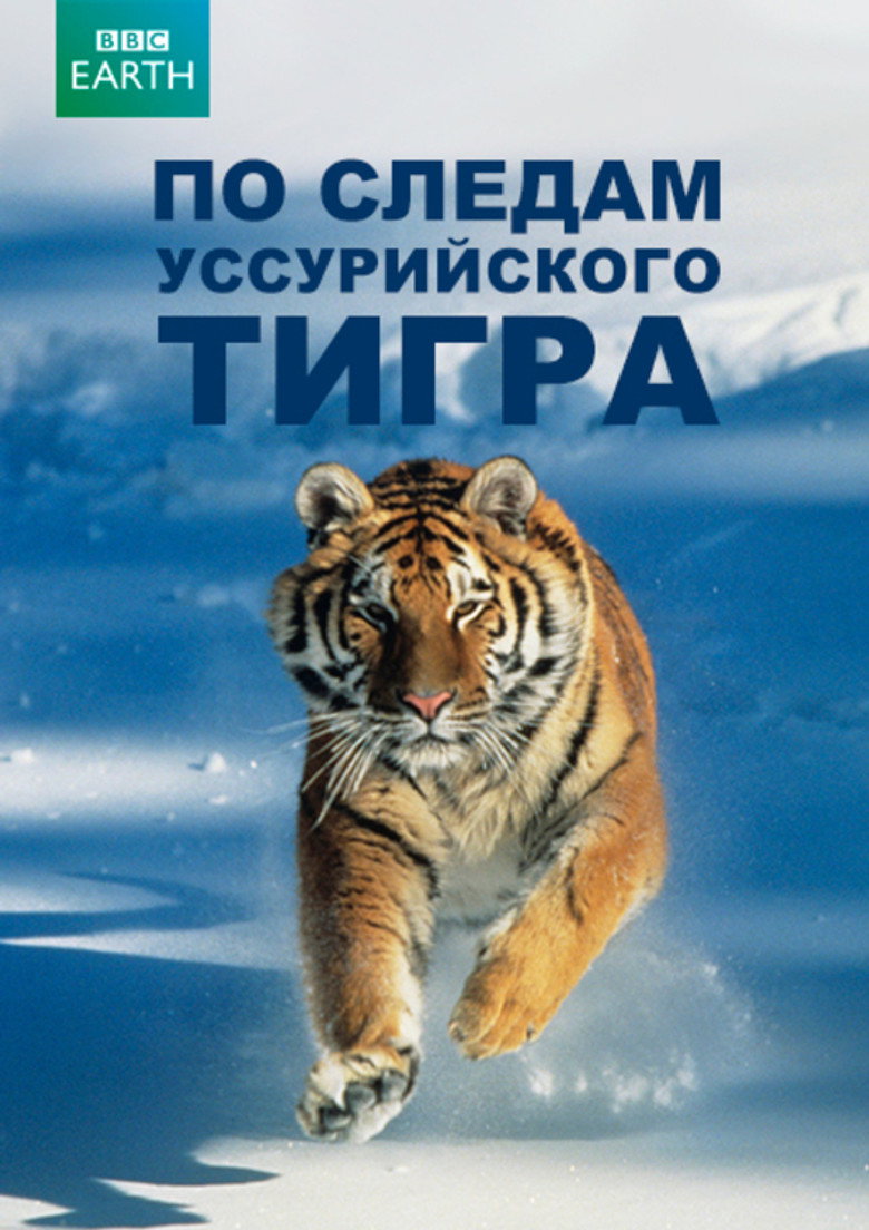 По следам уссурийского тигра