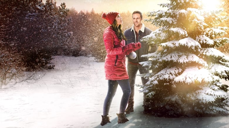 Voir The Christmas Promise en streaming vf gratuit sur StreamizSeries.com site special Films streaming