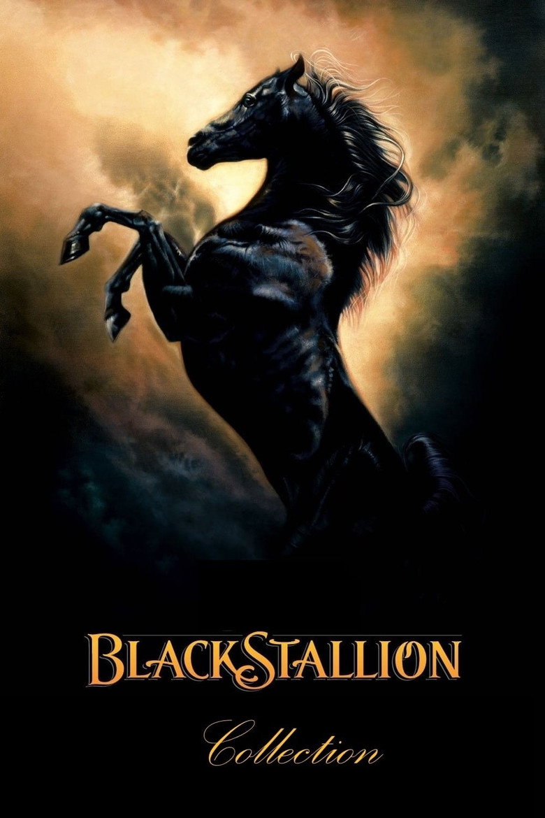 Постер коллекции The Black Stallion Collection