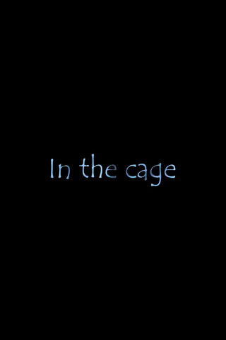In The Cage