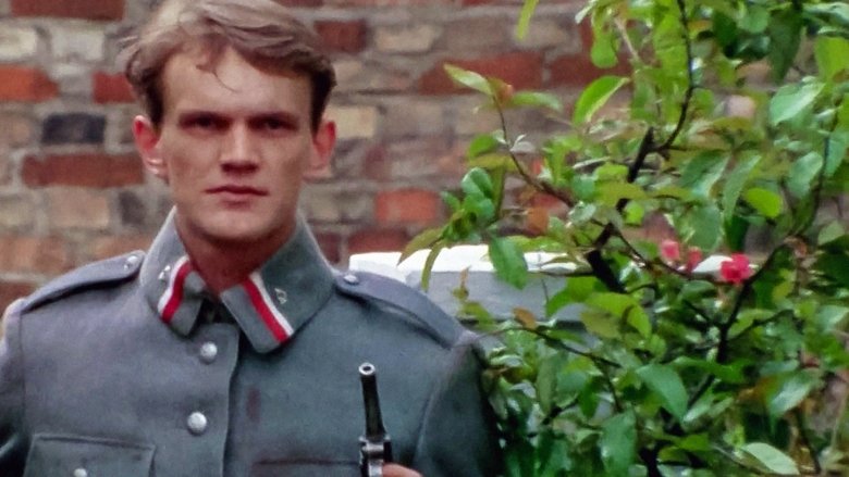 Gallery image from 3FDYbQTnrOA6EtRT7q5IHI6Rw06.jpg