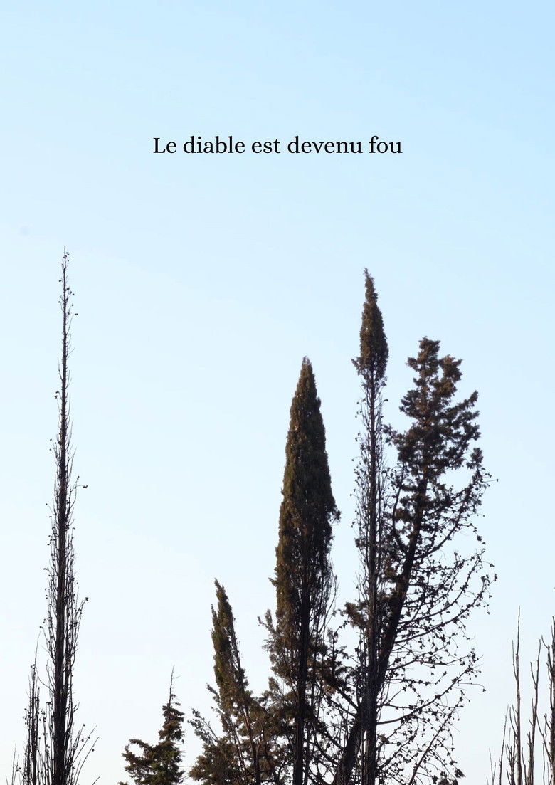 Imatge de Le diable est devenu fou