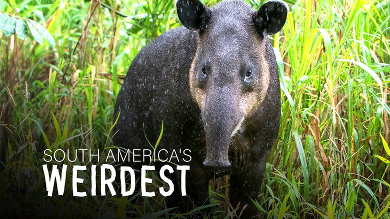 South America's Weirdest Animals 8