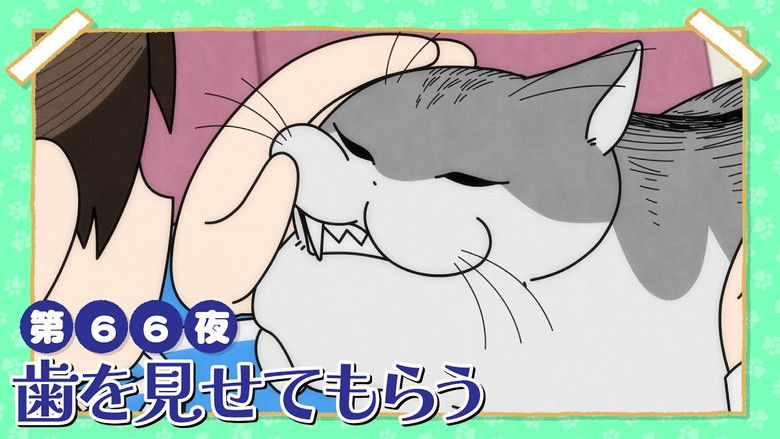 Still image for Nights with a Cat season 1 episode 66: Night 66: Show Me Your Teeth