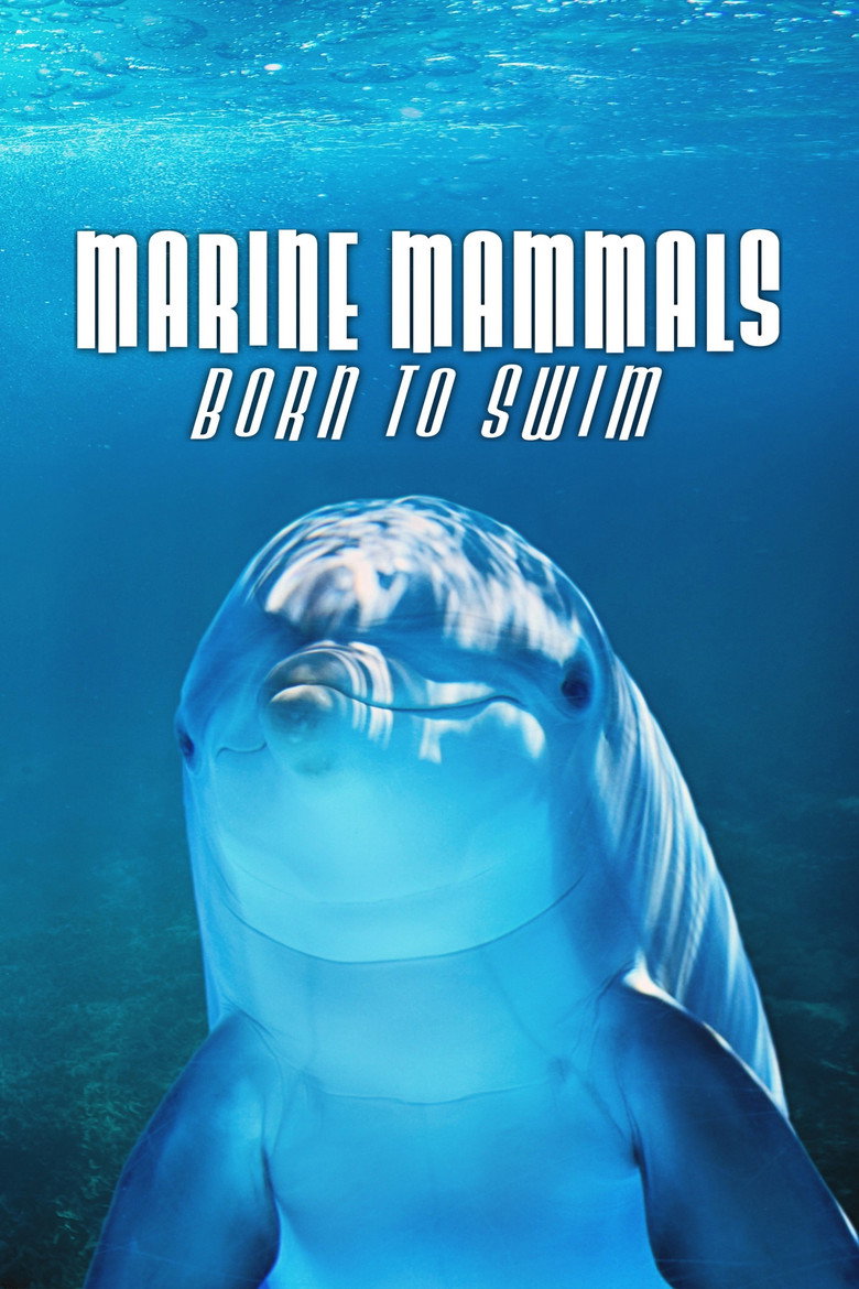 Watch Marine Mammals - Born to Swim Poster
