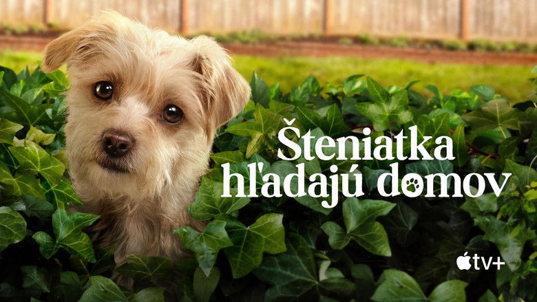 Gallery image from 3GS7CaoCr2Gn6S37qCtcIrGy8rH.jpg