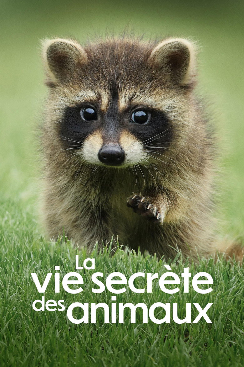Póster la Serie