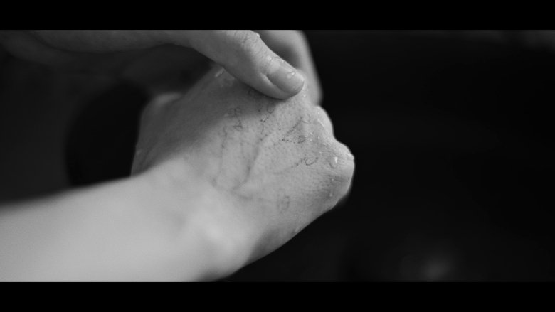 Dawn's Sunset (2025)