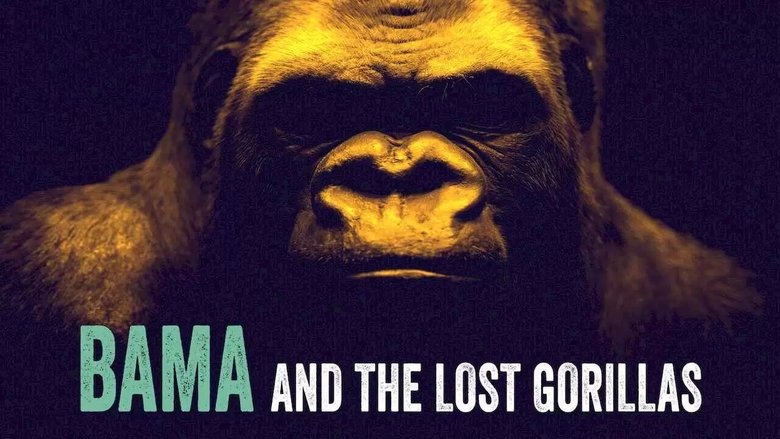 Bama and the Lost Gorillas main backdrop