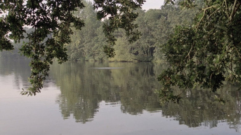 The Lake backdrop 2